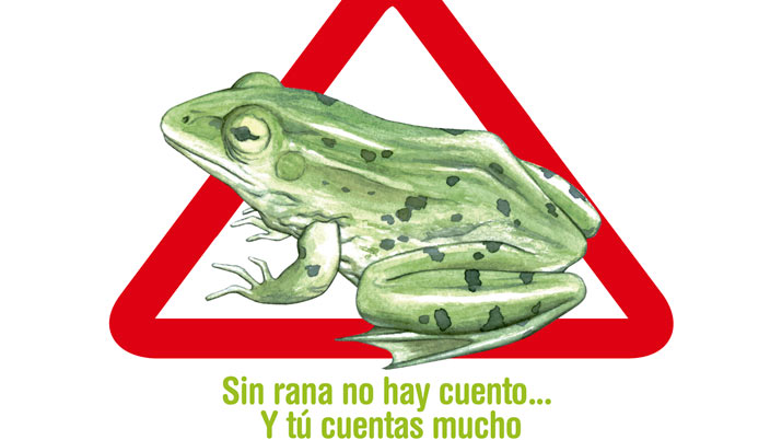 que sabes de anfibios