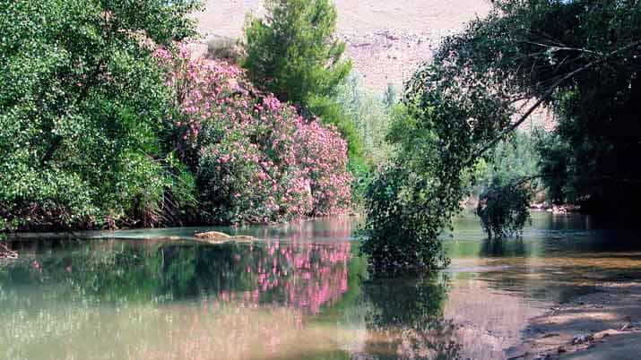 cuentaretum