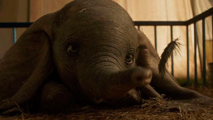 Dumbo