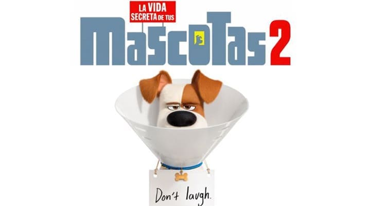 Mascotas 2