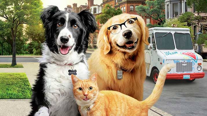 Como perros y gatos: la patrulla unida