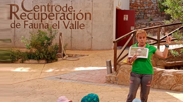 Visita guiada al Centro de Recuperación de Fauna Silvestre en El Valle