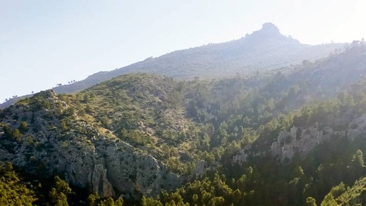 Ruta guiada: Bosques, las despensas del futuro