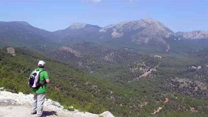 Ruta guiada: Las aves migratorias vuelven a Sierra Espuña