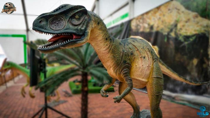 criaturas jurasicas 3