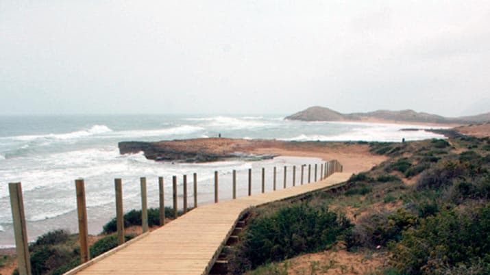 Ruta guiada: Calblanque, mucho más que playa