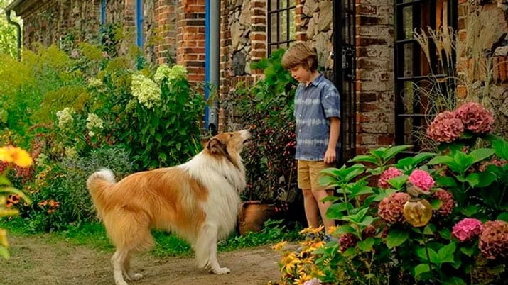 Lassie