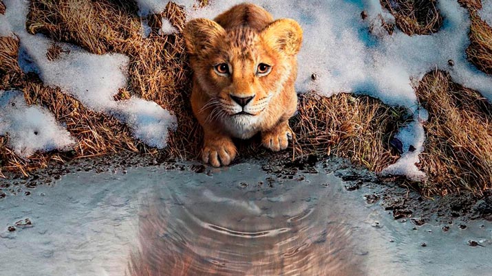 Mufasa: El rey león