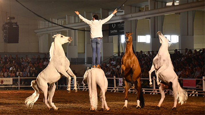 equimur 2024 1