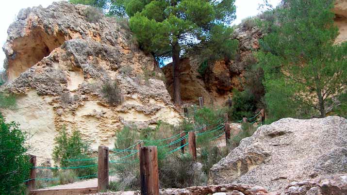 estrecho de la arboleja 5