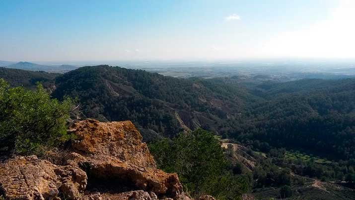 Sendero del Pico del Águila PR-MU 55
