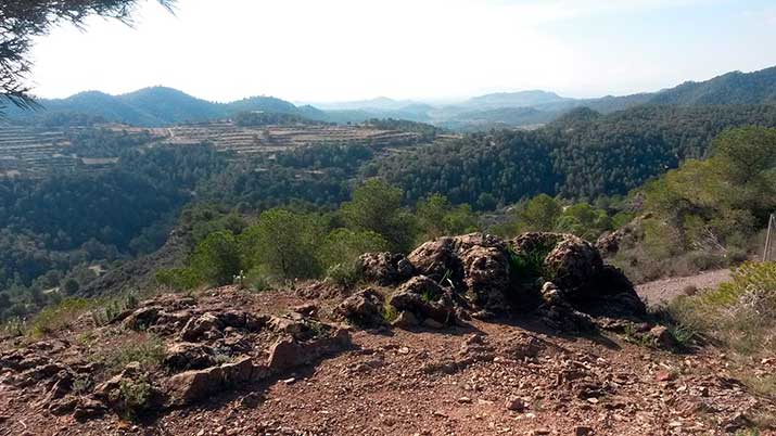 pico del aguila 2