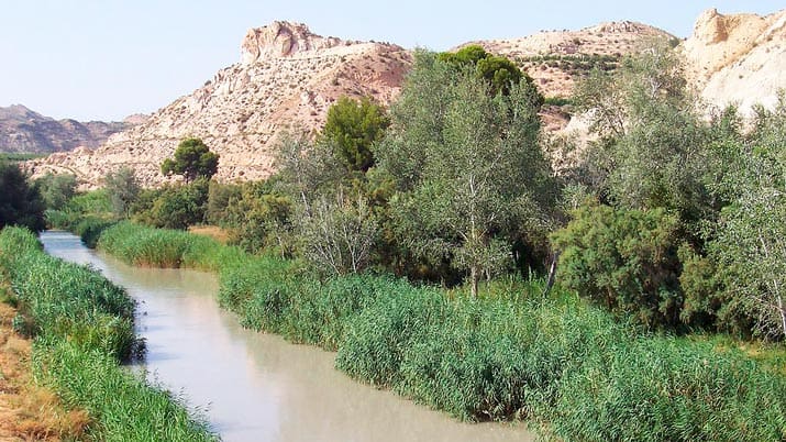 Ruta 3 Culturas en Archena