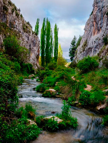 ruta el zarzalar nerpio 7