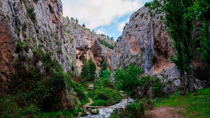 ruta el zarzalar nerpio 8