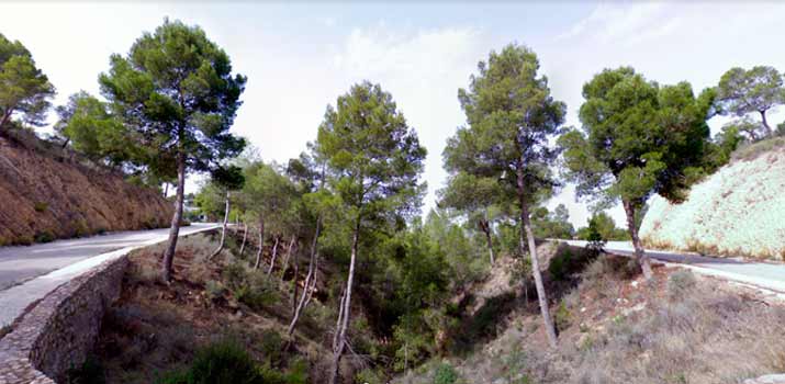 sendero barranco de los canones sl mu53 barranco