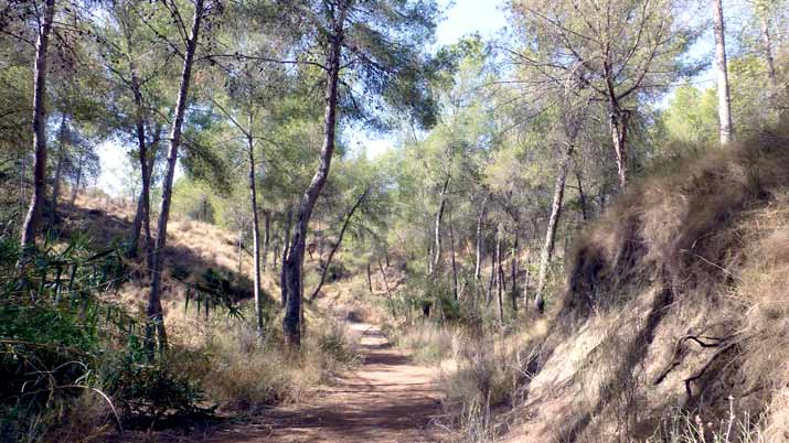 Sendero Barranco de los Cañones