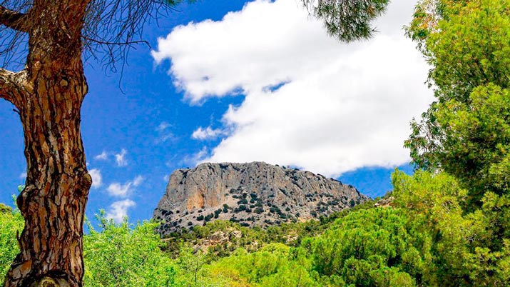 Sendero de los Ballesteros y Los Lentiscos