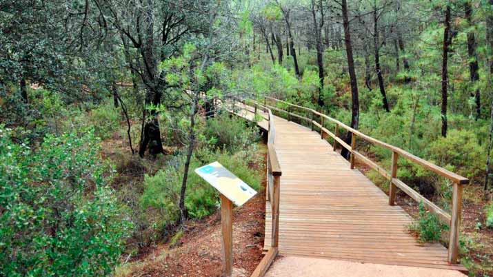 Sendero de Ricardo Codorníu SL-MU 1