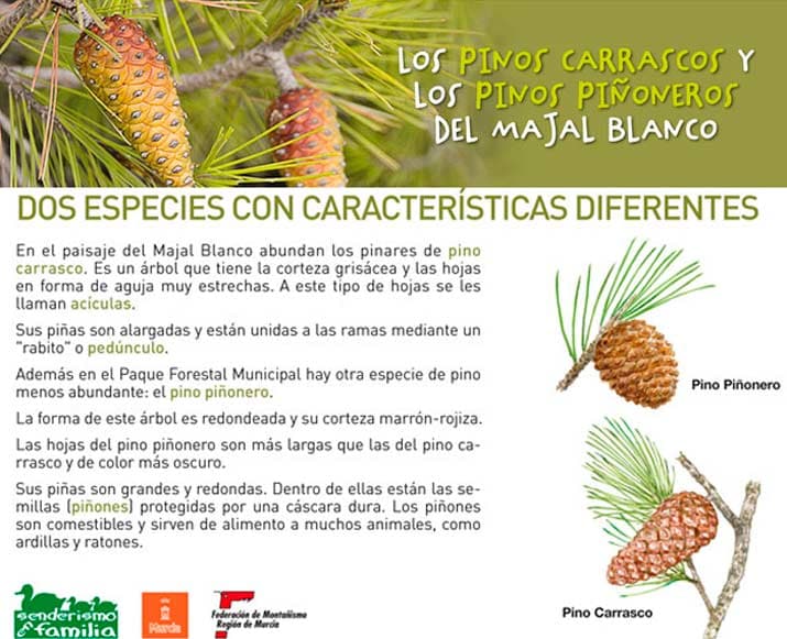 sendero en familia sl mu 15 panel 2