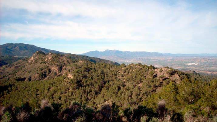 Sendero en familia por el Majal Blanco SL-MU 15