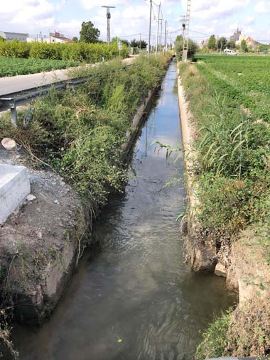 azarbe del norte
