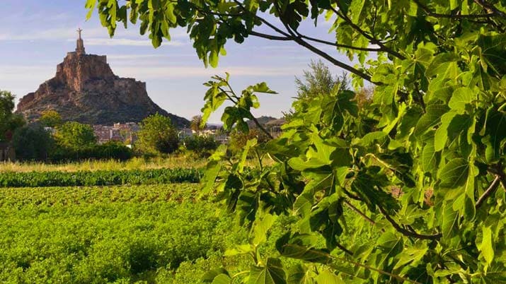 Sendero de la huerta de Monteagudo SL-MU 21