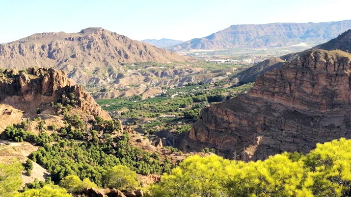 Sendero Castillo de Ricote