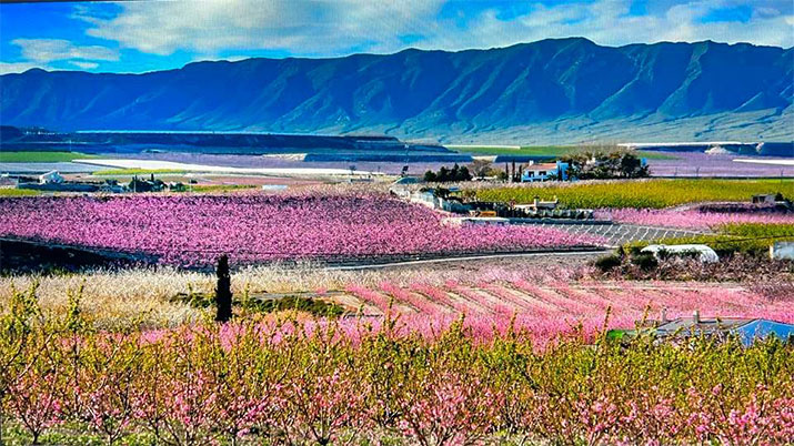 valle de ricote 3