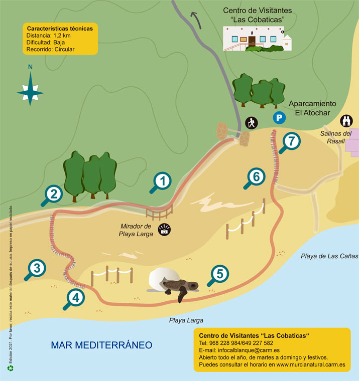 yincana investigacion en la playa