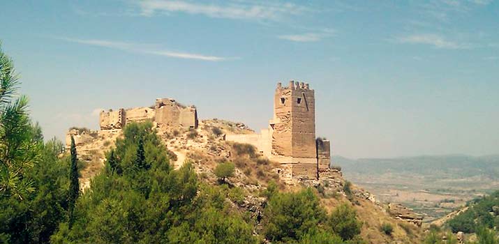 castillo pliego