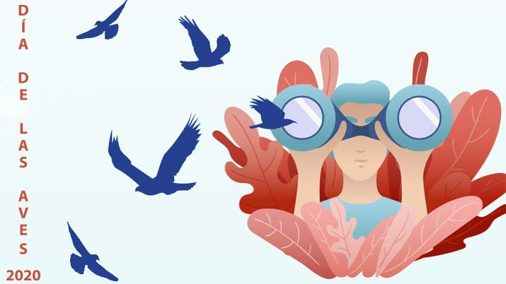 Rutas guiadas por el Día de las Aves 2020