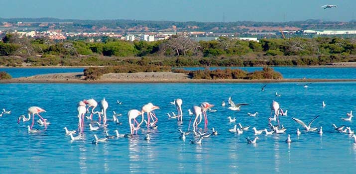 reconectar las salinas