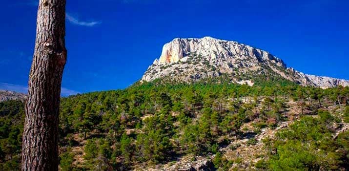 reconectar sierra espuna