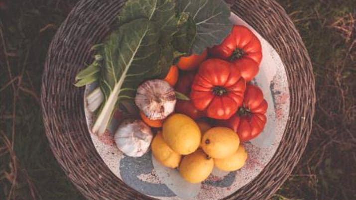 Showcookings y rutas familiares en la Semana de la Huerta