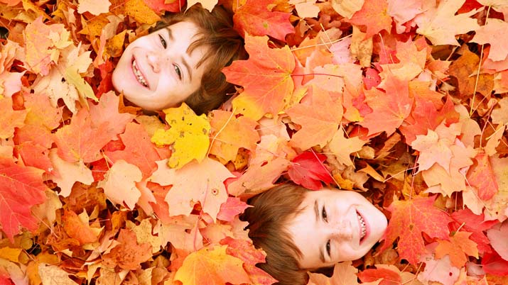 ¡Bienvenido otoño!