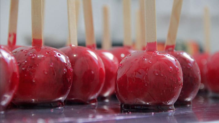 Recetas de cocina con