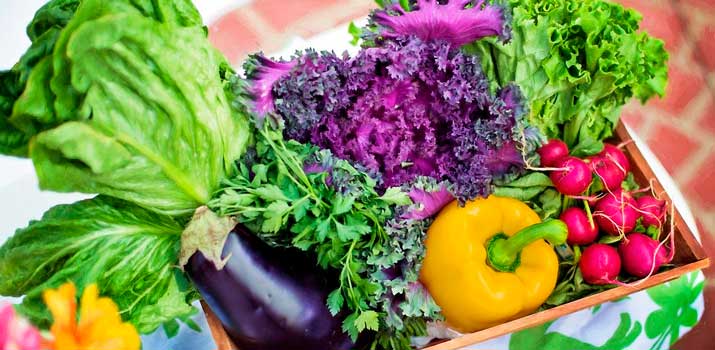 verduras arco iris
