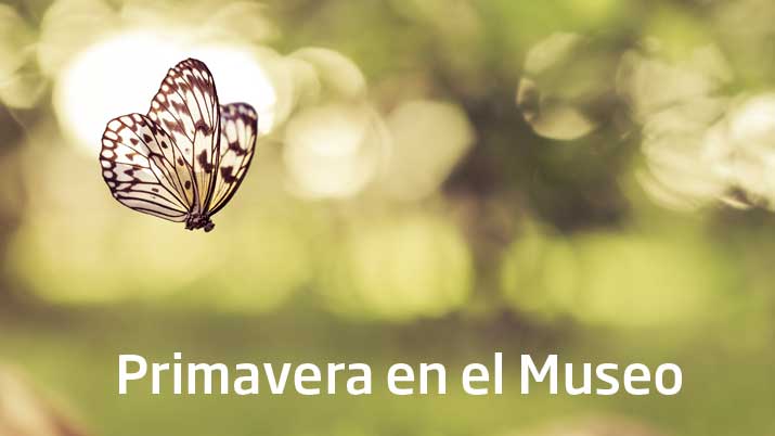 Primavera en el Museo de la Ciudad de Murcia