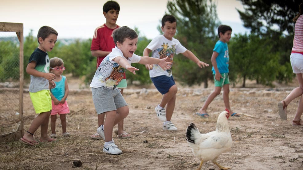 la hornera animales