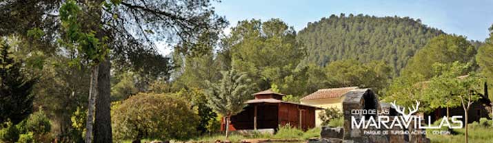 coto de las maravillas 2