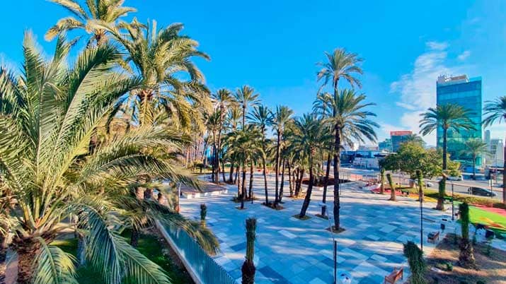 palmeral la paz 1