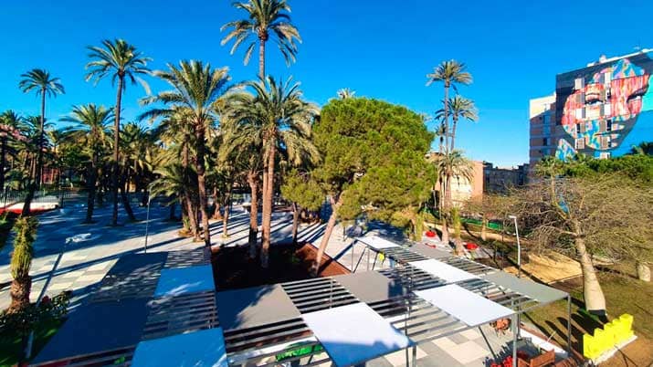 palmeral la paz 2