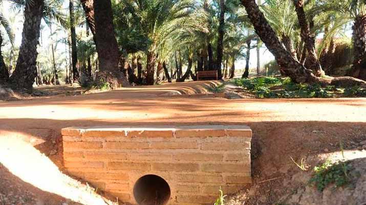 palmeral santiago zaraiche regadio