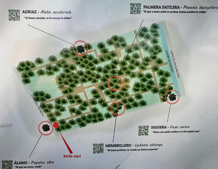 plano qr