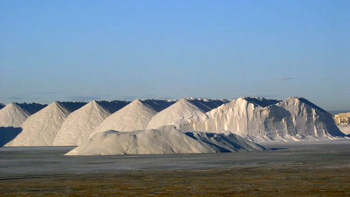 el camino del oro blanco