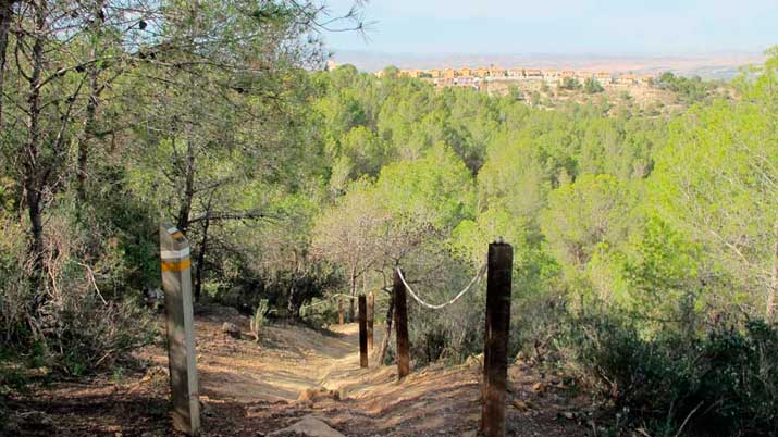 camino de los arejos