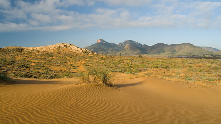 Verano en Espacios Protegidos de Murcia