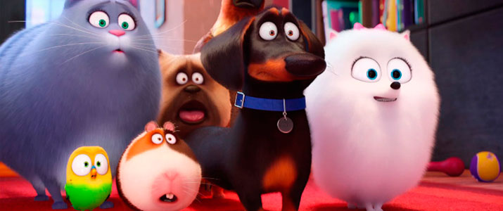 mascotas 2