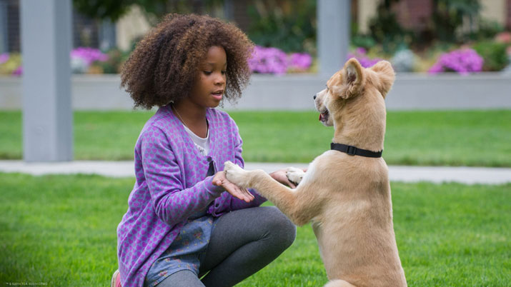 Annie 03